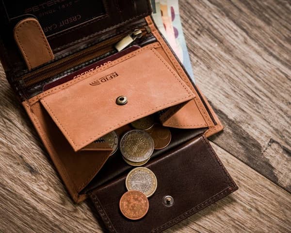 Velká, dvoubarevná pánská peněženka z přírodní kůže - Peterson