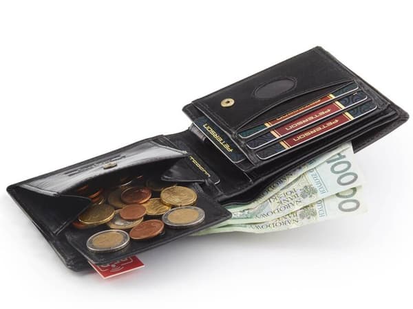 Kožená, střední pánská peněženka s RFID systémem - Peterson