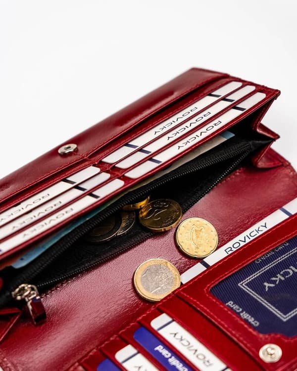 Velká, kožená dámská peněženka s RFID systémem - Rovicky
