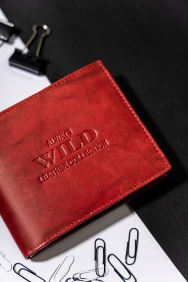 Velká, kožená pánská peněženka bez zapínání - Always Wild