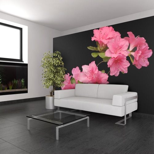 Bild av Fototapet - Azalea in Black
