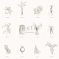Miniatyrbild 6 av 7: ESTAhome tapet grönsaker beige 53 cm x 10,05 m