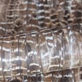 Miniatyrbillede 5 af 7: Origin Wallcoverings tapet fjer rustbrunt 53 cm x 10,05 m