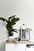Miniatyrbillede 4 af 8: ESTAhome tapet jeansstruktur gammeldags hvidt 53 cm x 10,05 m