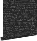 Miniatyrbild 1 av 8: ESTAhome tapet matematiska formler matt svart 53 cm x 10,05 m