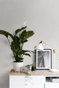Miniatyrbild 4 av 8: ESTAhome tapet jeansstruktur varmt grått 53 cm x 10,05 m