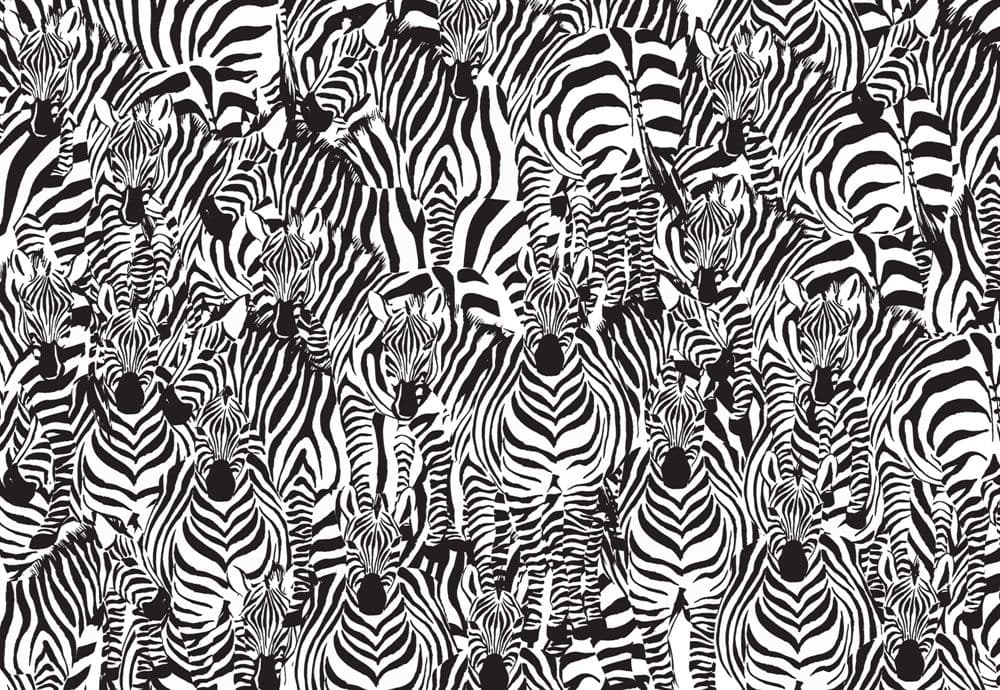 Zebra~~Pos=Trunc Mönstret~~Pos=Headcomp - Fototapet