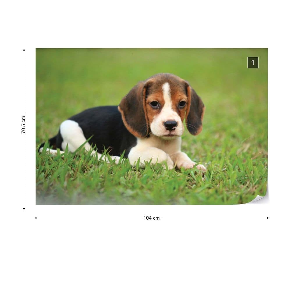 Hund - Fototapet