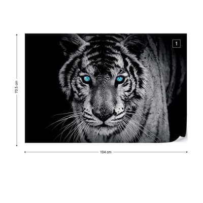 Tiger Djur - Fototapet