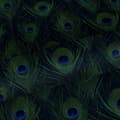 Miniatyrbild 7 av 8: Origin Wallcoverings tapet påfågelfjädrar mörkblått - 347766 - 0,53 x 10,05 m