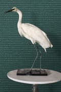 Miniatyrbillede 3 af 8: Origin Wallcoverings tapet krokodillehud benzinblåt 0,53 x 10,05 m