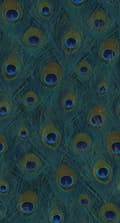 Miniatyrbild 1 av 8: Origin Wallcoverings fototapet påfågelfjädrar havsgrönt 150 x 279 cm