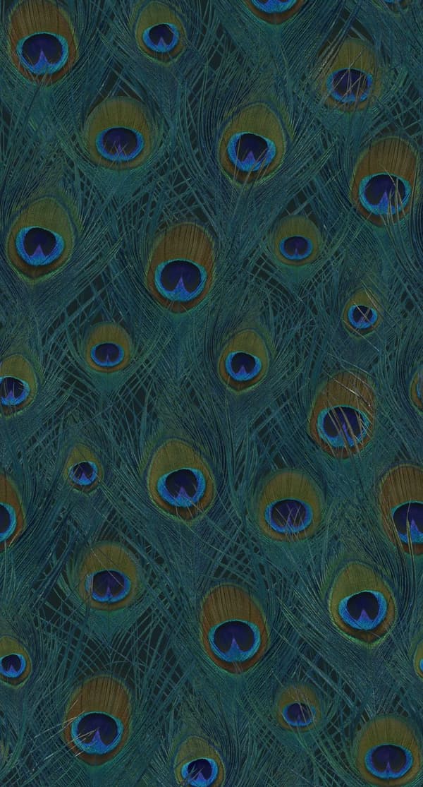 Origin Wallcoverings fototapet påfågelfjädrar havsgrönt 150 x 279 cm