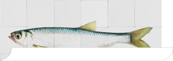 ESTAhome wallsticker fisk gul og blåt 97 x 48,5 cm