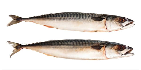 ESTAhome wallsticker fisk gråt 97 x 48,5 cm