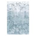 Miniatyrbillede 1 af 6: Art for the Home - Fototapet - Japanske fugle - 280x186cm