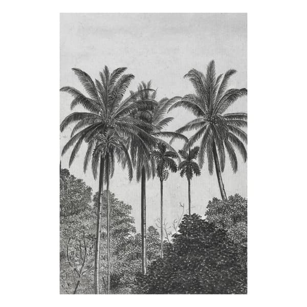 Art for the Home - Fototapet - Palm Deco - Grå/Sort - 300x200 cm