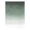 Miniatyrbild 1 av 6: Art for the Home - Fototapet - Fading Betong - Grön - 280x200cm