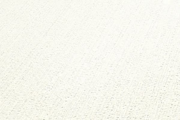 Non woven-tapet uni kulör Profhome 288578-GU lätt texturerad matt färg vit 5,33 m2