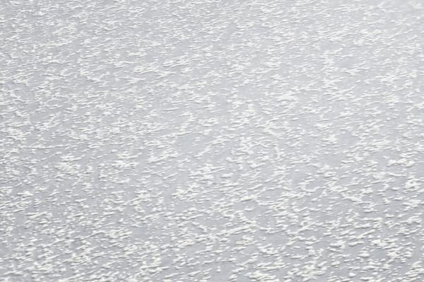Övermålningsbar tapet textur Profhome 309716-GU lätt texturerad matt färg vit 26,5 m2