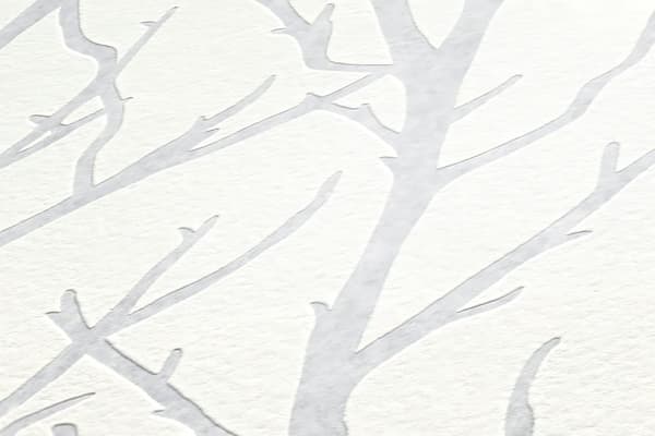 Övermålningsbar tapet grafisk Profhome 321015-GU texturerad matt färg vit 5,33 m2