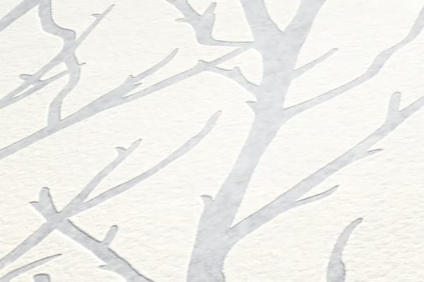 Övermålningsbar tapet grafisk Profhome 321114-GU texturerad matt färg vit 26,5 m2