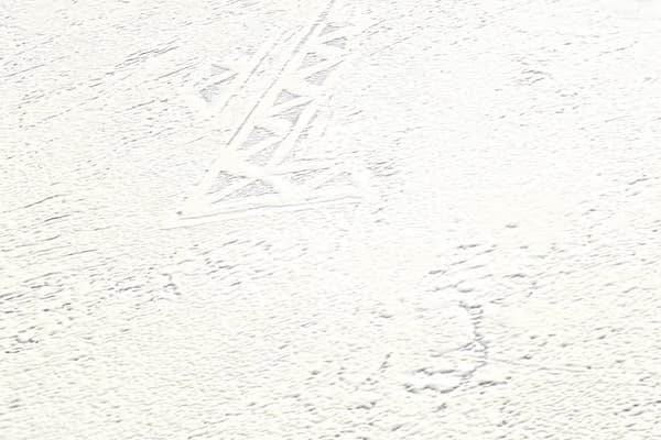 Övermålningsbar tapet grafisk Profhome 321916-GU lätt texturerad matt färg vit 26,5 m2