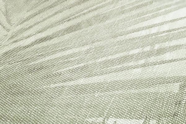Non woven-tapet palmer Profhome 363854-GU texturerad matt färg grön grädde 5,33 m2