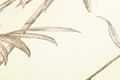 Miniatyrbild 3 av 5: Non woven-tapet palmer Profhome 369193-GU lätt texturerad matt färg rosa beige grädde 5,33 m2