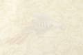 Miniatyrbild 3 av 6: Non woven-tapet fågelmönster Profhome 370535-GU texturerad glansigt mönster matt bakgrund färg silver beige grädde 7,04 m2