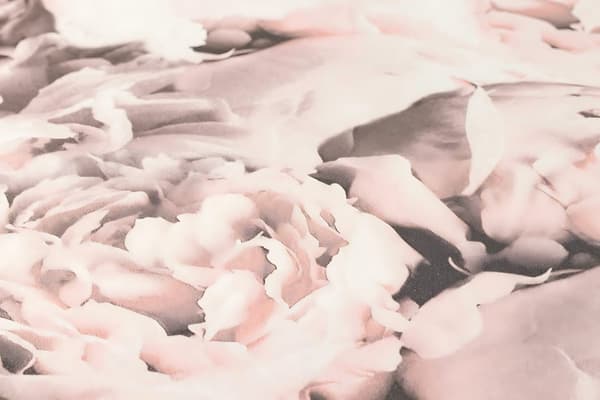 Non woven-tapet blomster Profhome 373982-GU slät matt färg rosa grädde 5,33 m2