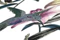Miniatyrbild 3 av 6: Non woven-tapet kolibrier Profhome 377011-GU slät matt färg vit grön gul turkos blå 5,33 m2