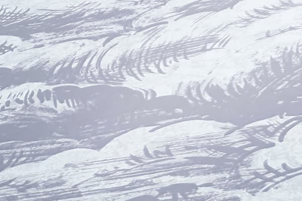 Non woven-tapet grafisk Profhome 377054-GU slät matt färg grå vit 5,33 m2