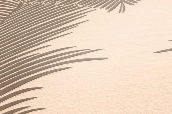 Non woven-tapet palmer Profhome 379591-GU texturerad glansigt mönster matt bakgrund färg beige 5,33 m2