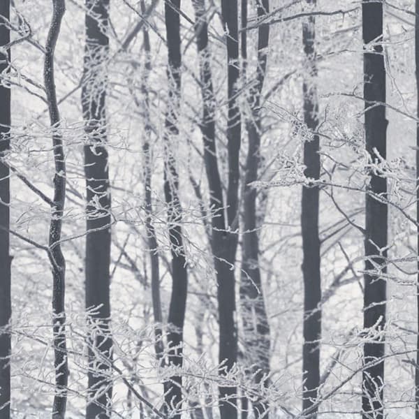 Arthouse Frosted Trees Wallpaper Grey/Silver 32.1ft x 21in