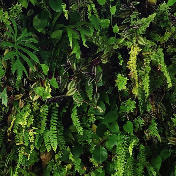 Belgravia Kew Living Wallpaper Green/Black 32.1ft x 21in