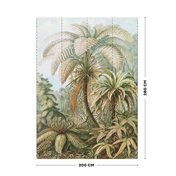 Art for the Home - Fototapet - Jungle Filicinae - 2,8x2m
