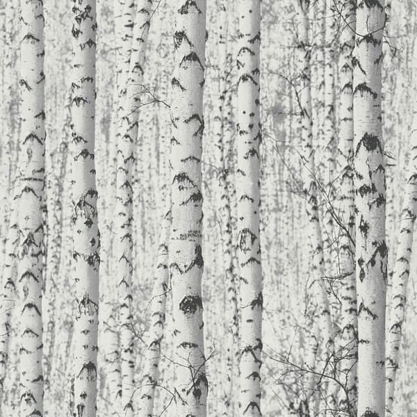 Non woven-tapet skog Profhome 387191-GU slät matt färg vit grå svart 5,33 m2