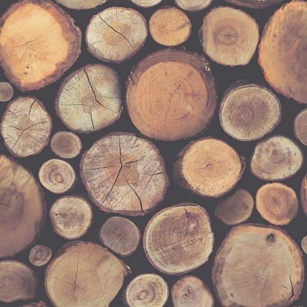 World of Wallpaper Logs Wallpaper Natural 10m x 53cm