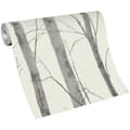 Miniatyrbilde 2 av 3: Erismann Birch Trees Wallpaper