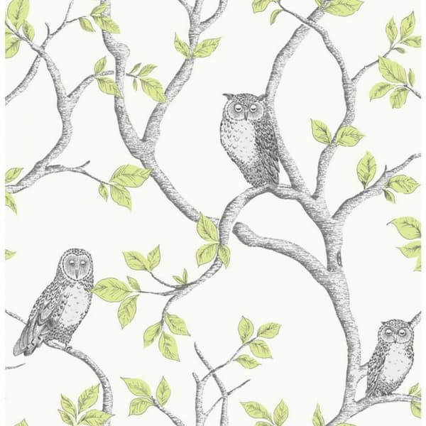 Fine Decor Owl Wallpaper Green/Cream/Grey 32.9ft x 20.5in