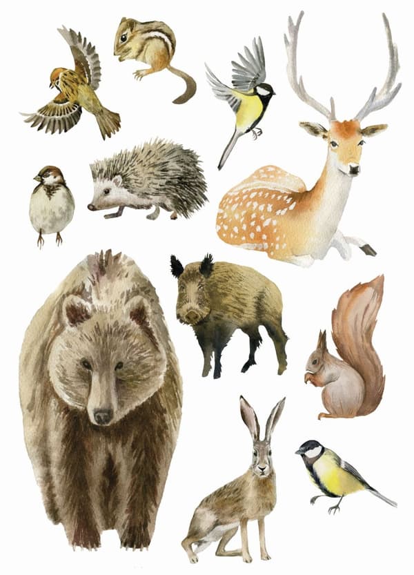 ESTAhome wallsticker skovdyr brunt 47,5 cm x 66 cm