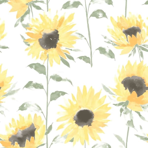 Catherine Lansfield Sunflower Wallpaper