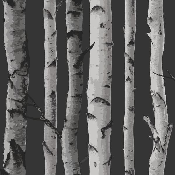Fine Decor Birch Trees Wallpaper