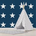 Miniatyrbilde 2 av 5: World of Wallpaper Star Wallpaper