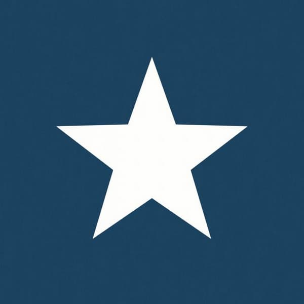 World of Wallpaper Star Wallpaper Navy/White 32.1ft x 21in