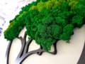 Miniatyrbild 5 av 7: Mossbild mossa naturlig väggdekoration vardagsrum badrum väggmålning 60 x 100 cm livets träd