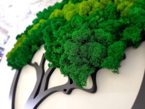 Mossbild mossa naturlig väggdekoration vardagsrum badrum väggmålning 60 x 100 cm livets träd