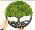 Miniatyrbillede 11 af 11: Moss billede mos naturlig vægdekoration stue badeværelse vægmaleri 50 x 50 cm livets træ