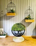 Miniatyrbillede 7 af 10: Mosbillede, Moss naturlig vægdekoration, stue badeværelse vægmaleri 100 x 100cm livets træ